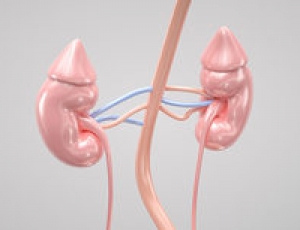 腎陰虛的癥狀 腎陰虛有哪些癥狀表現