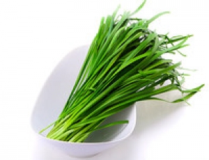 膽結石能吃韭菜嗎